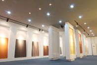 los paneles de pared de la terracota del grueso de 30m m, paneles de revestimiento exteriores de cerámica de la serie F30